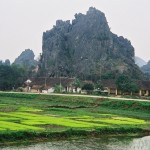 Scène de culture du riz au nord Viet-Nam