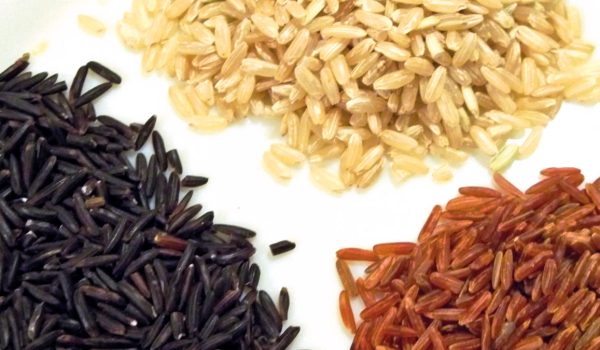 Histoires de riz